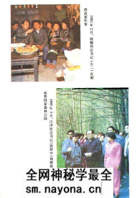 《湖南省志(第二十四卷)民族志》.pdf电子版_湖南省志预览图4