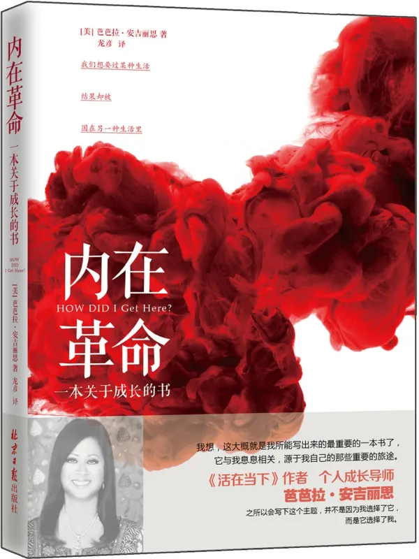 《内在革命：一本关于成长的书》封面图片