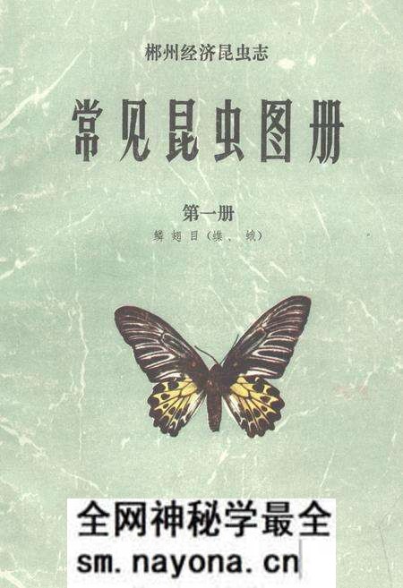 《《常见昆虫图册·第一册鳞翅目(蝶、蛾)》》.pdf电子版_湖南省志预览图 《《常见昆虫图册·第一册鳞翅目(蝶、蛾)》》.pdf电子版_湖南省志预览图