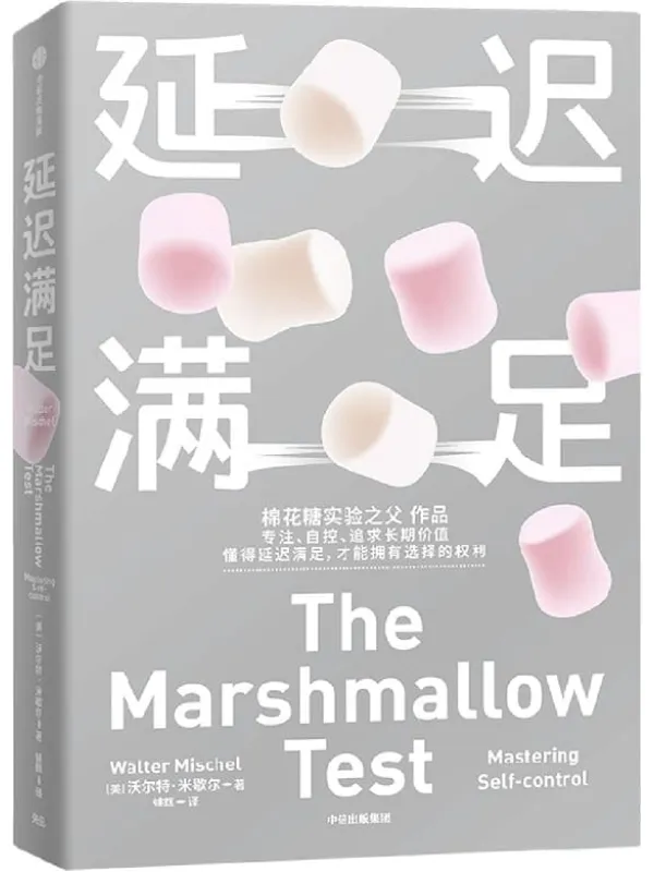《延迟满足》封面图片
