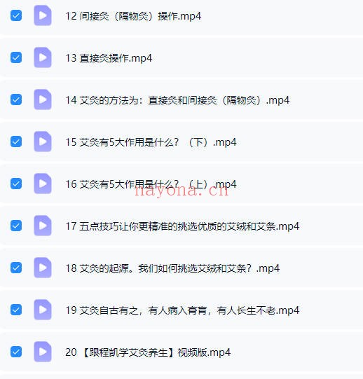 跟程凯学艾灸养生30集视频 艾灸教程