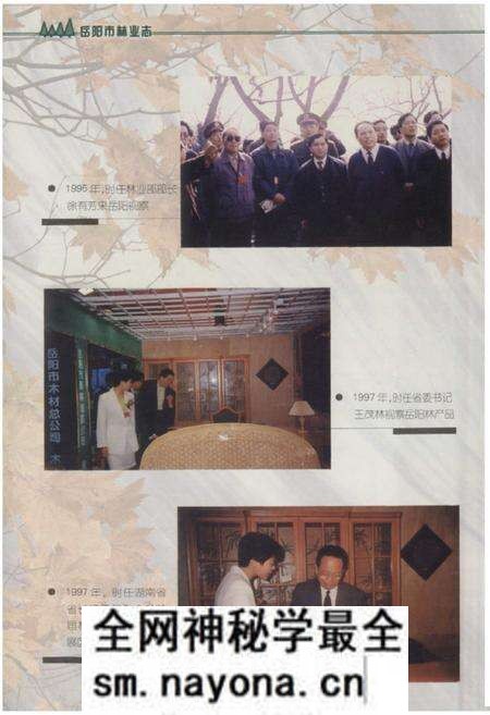 《《岳阳市林业志》》.pdf电子版_湖南省志预览图3