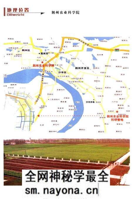 《荆州农业科学院志》.pdf电子版_湖北省志预览图5