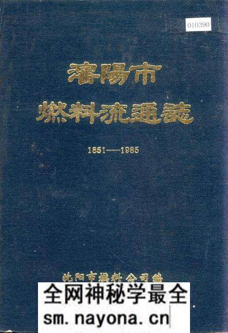 《沈阳市燃料流通志》.pdf电子版_辽宁省志预览图