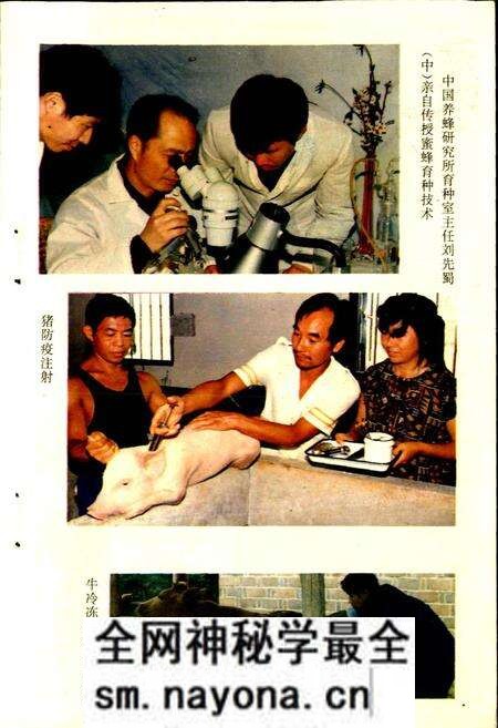 《平江县畜牧水产志》.pdf电子版_湖南省志预览图5 《平江县畜牧水产志》.pdf电子版_湖南省志预览图5
