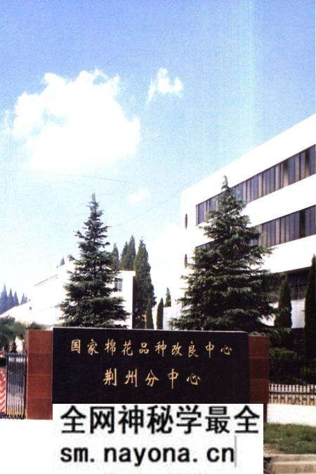 《荆州农业科学院志》.pdf电子版_湖北省志预览图4