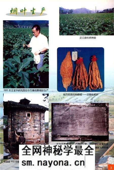 《怀化烟草志》.pdf电子版_湖南省志预览图4 《怀化烟草志》.pdf电子版_湖南省志预览图4