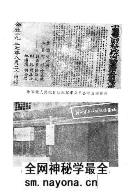 《平江惨案史料汇编》.pdf电子版_湖南省志预览图5
