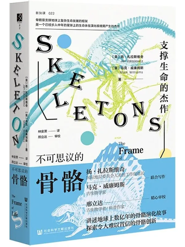 《不可思议的骨骼：支撑生命的杰作 (方寸系列)》封面图片