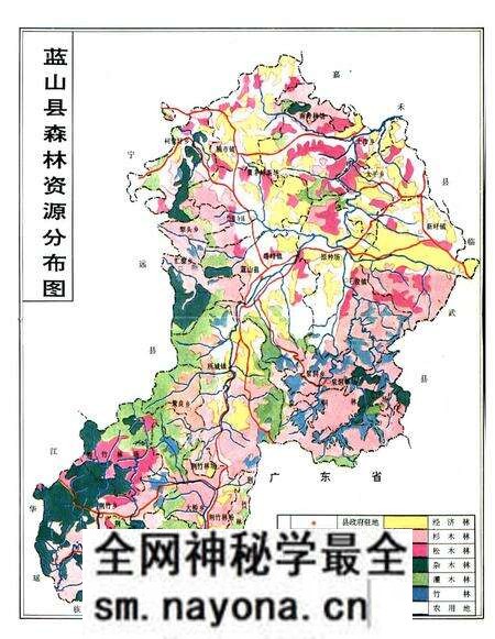 《蓝山县志林业志》.pdf电子版_湖南省志预览图3 《蓝山县志林业志》.pdf电子版_湖南省志预览图3