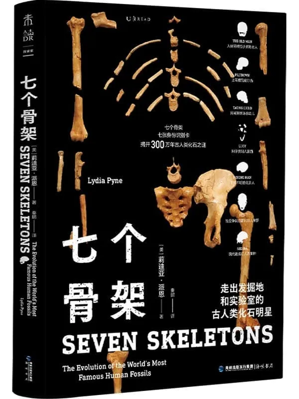 《七个骨架：走出发掘地和实验室的古人类化石明星》封面图片