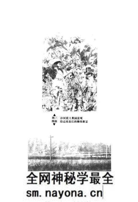 《桃江县土壤志》.pdf电子版_湖南省志预览图4 《桃江县土壤志》.pdf电子版_湖南省志预览图4