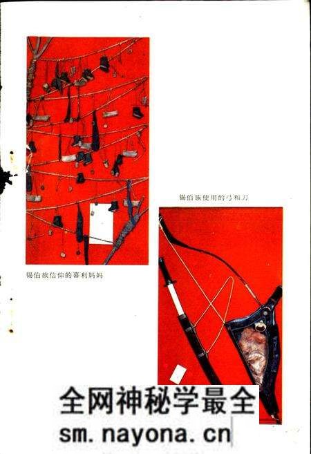 《沈阳锡伯族志》.pdf电子版_辽宁省志预览图4 《沈阳锡伯族志》.pdf电子版_辽宁省志预览图4