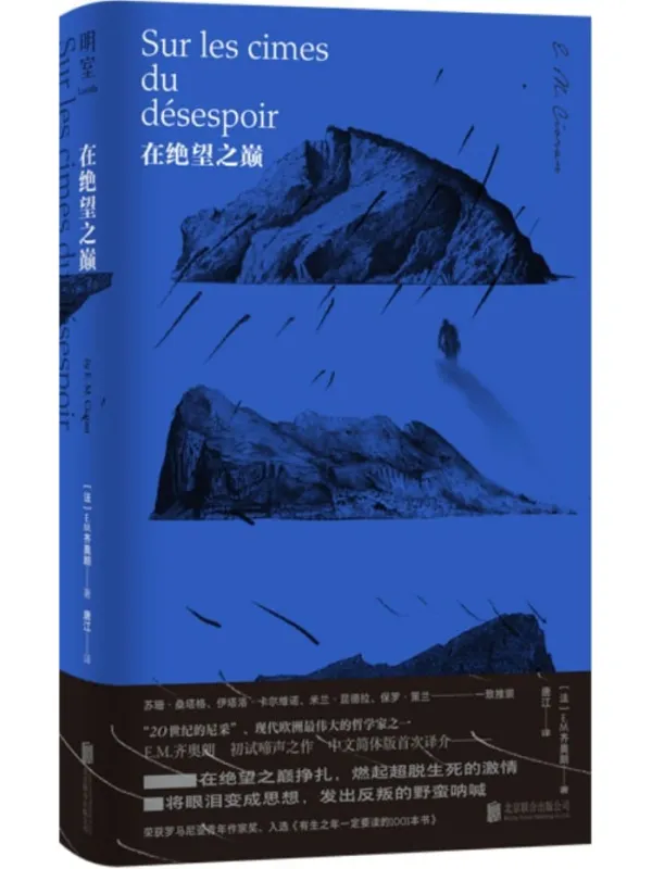 《在绝望之巅》封面图片