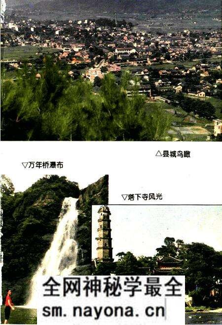 《蓝山县志林业志》.pdf电子版_湖南省志预览图5 《蓝山县志林业志》.pdf电子版_湖南省志预览图5