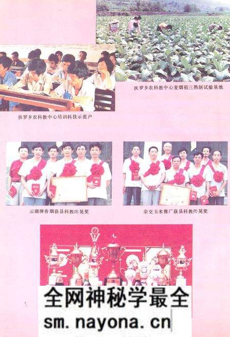《《新晃侗族自治县·科学技术志》》.pdf电子版_湖南省志预览图4 《《新晃侗族自治县·科学技术志》》.pdf电子版_湖南省志预览图4