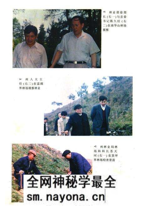 《《凤凰县林业志》》.pdf电子版_湖南省志预览图4