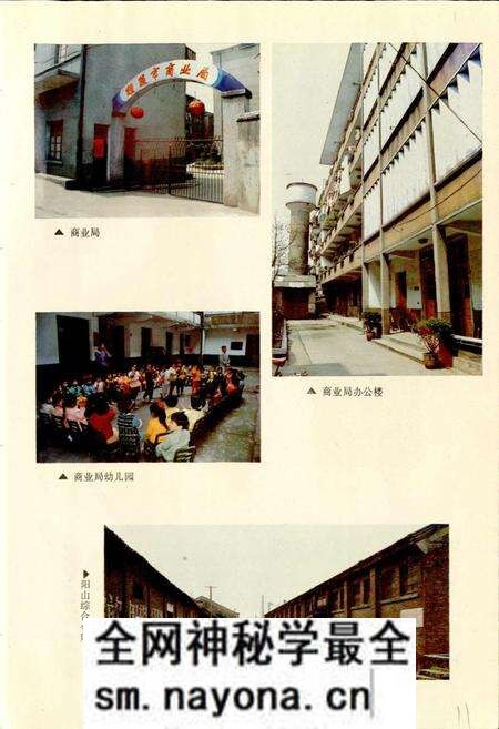 《醴陵商业志》.pdf电子版_湖南省志预览图5 《醴陵商业志》.pdf电子版_湖南省志预览图5