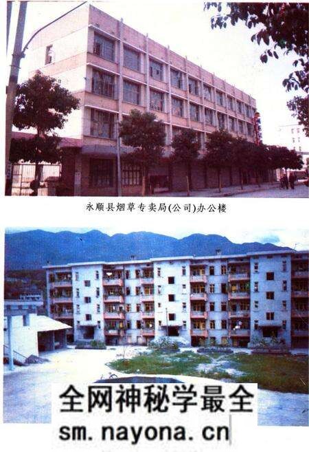 《《湖南省永顺县烟草志》》.pdf电子版_湖南省志预览图3 《《湖南省永顺县烟草志》》.pdf电子版_湖南省志预览图3