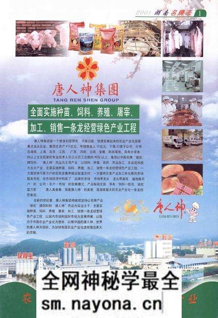 《湖南名牌志》.pdf电子版_湖南省志预览图4 《湖南名牌志》.pdf电子版_湖南省志预览图4