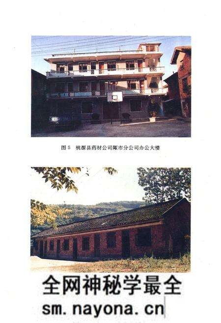《桃源县志·第十四卷·药业志》.pdf电子版_湖南省志预览图4 《桃源县志·第十四卷·药业志》.pdf电子版_湖南省志预览图4