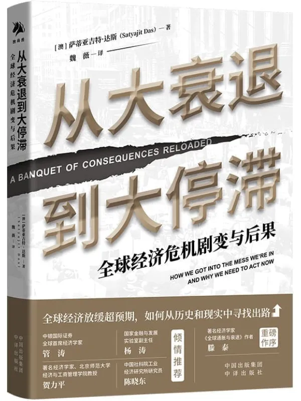 《从大衰退到大停滞：全球经济危机剧变与后果》封面图片