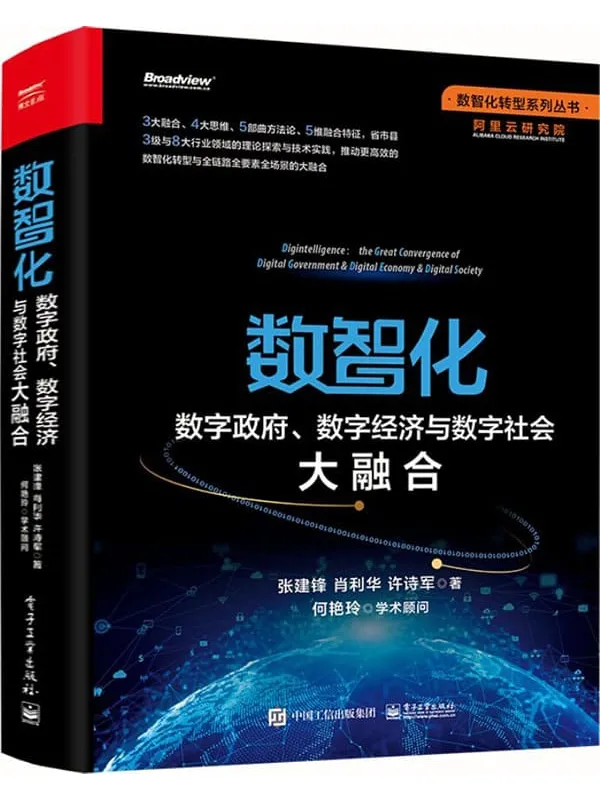 《数智化：数字政府、数字经济与数字社会大融合》封面图片