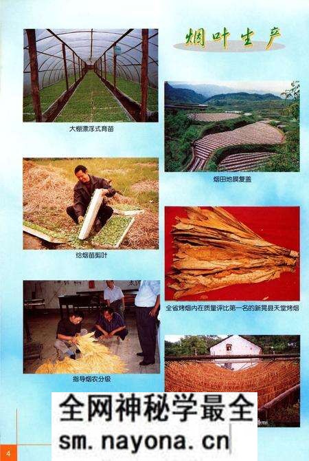 《怀化烟草志》.pdf电子版_湖南省志预览图5 《怀化烟草志》.pdf电子版_湖南省志预览图5