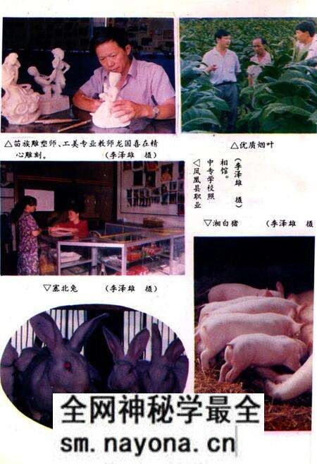 《凤凰县职业中专学校十年志(1984-1994)》.pdf电子版_湖南省志预览图3 《凤凰县职业中专学校十年志(1984-1994)》.pdf电子版_湖南省志预览图3