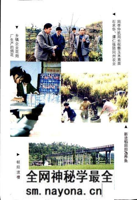 《凤凰县农业志》.pdf电子版_湖南省志预览图5 《凤凰县农业志》.pdf电子版_湖南省志预览图5