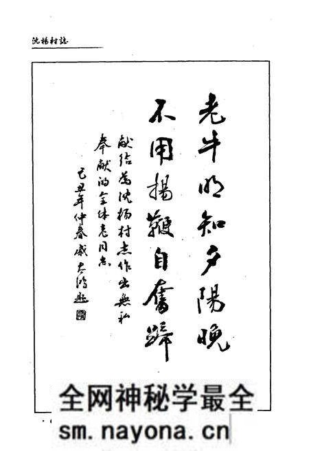 《《沈阳村志》》.pdf电子版_江苏省志预览图3