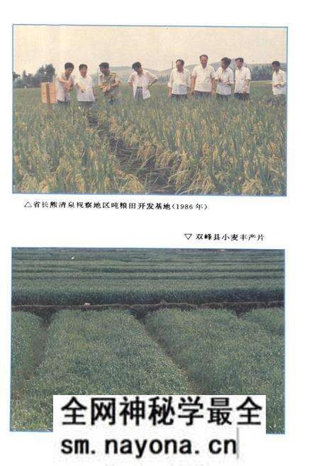 《娄底地区农业志》.pdf电子版_湖南省志预览图5 《娄底地区农业志》.pdf电子版_湖南省志预览图5
