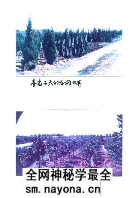 《《长沙市苗圃志(1959-1987)》》.pdf电子版_湖南省志预览图5 《《长沙市苗圃志(1959-1987)》》.pdf电子版_湖南省志预览图5