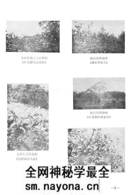 《宜都县土壤志》.pdf电子版_湖北省志预览图5 《宜都县土壤志》.pdf电子版_湖北省志预览图5
