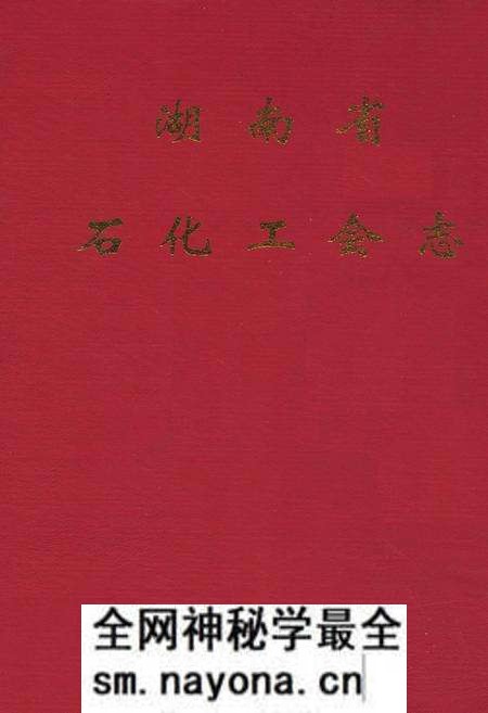 《湖南省石化工会志》.pdf电子版_湖南省志预览图 《湖南省石化工会志》.pdf电子版_湖南省志预览图
