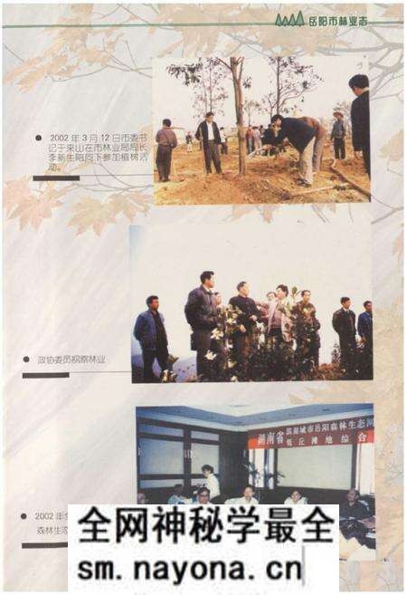 《《岳阳市林业志》》.pdf电子版_湖南省志预览图4