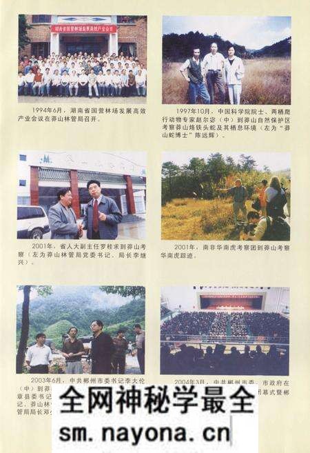 《《莽山志(1958-2003)》》.pdf电子版_湖南省志预览图5 《《莽山志(1958-2003)》》.pdf电子版_湖南省志预览图5