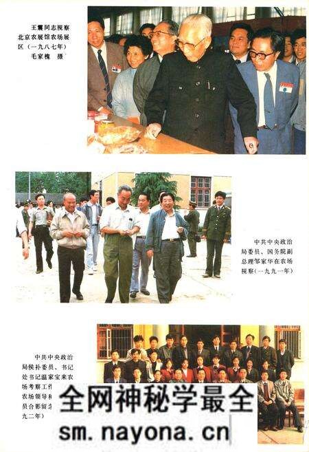《《大通湖农场志》》.pdf电子版_湖南省志预览图4