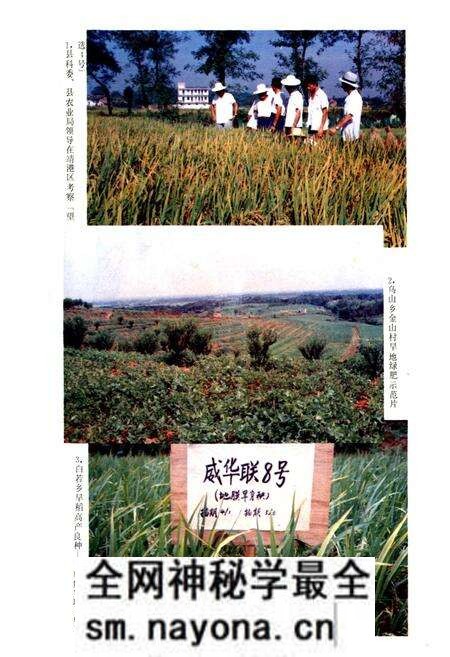《望城县农业志》.pdf电子版_湖南省志预览图4 《望城县农业志》.pdf电子版_湖南省志预览图4