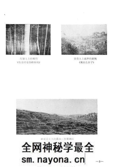 《宜都县土壤志》.pdf电子版_湖北省志预览图3 《宜都县土壤志》.pdf电子版_湖北省志预览图3