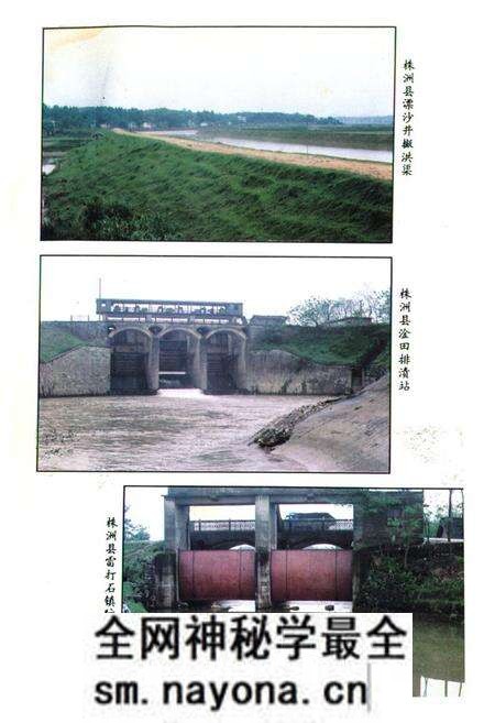 《《株洲市水利水电志》》.pdf电子版_湖南省志预览图5