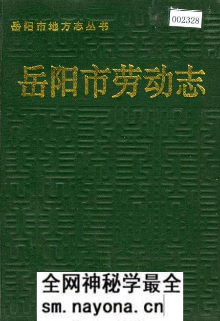 《岳阳市劳动志》.pdf电子版_湖南省志预览图
