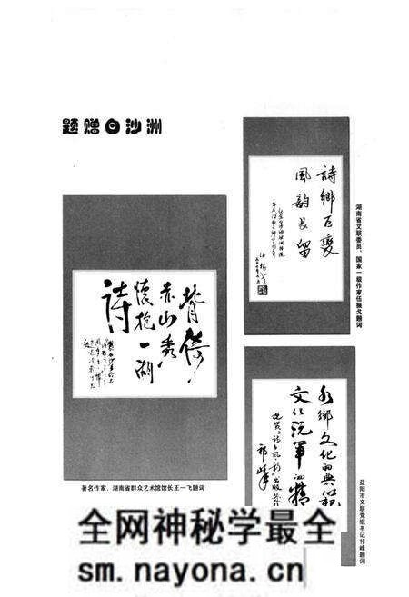 《《白沙洲村文化志》》.pdf电子版_湖南省志预览图5