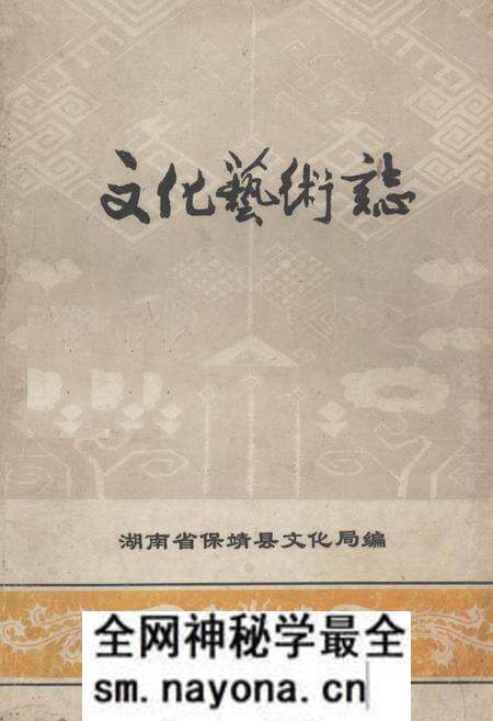 《《文化艺术志》》.pdf电子版_湖南省志预览图