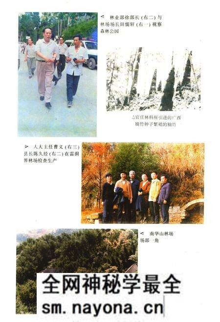 《《凤凰县林业志》》.pdf电子版_湖南省志预览图5