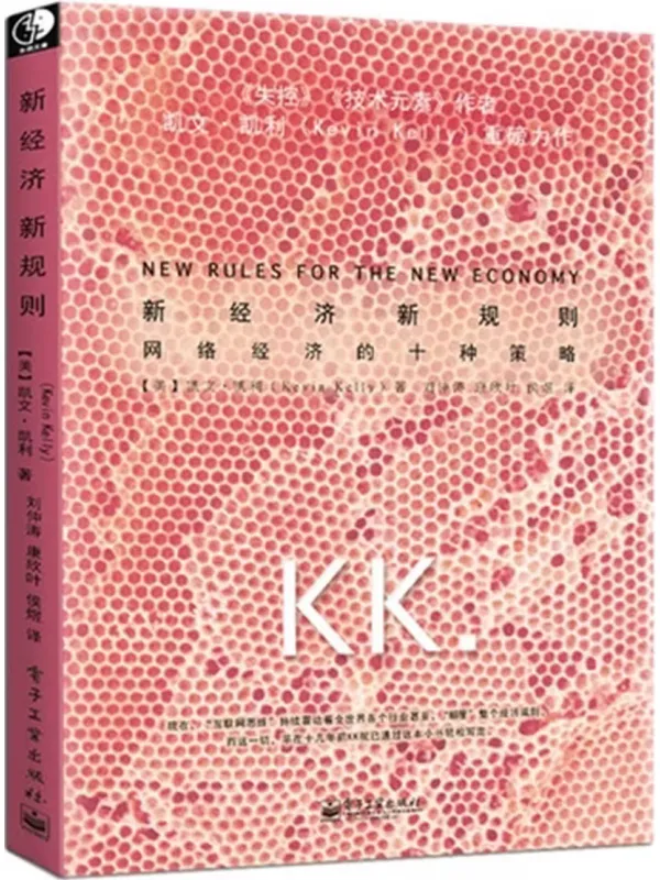 《新经济，新规则：网络经济的十种策略》封面图片