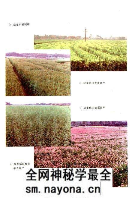 《醴陵农业志》.pdf电子版_湖南省志预览图5 《醴陵农业志》.pdf电子版_湖南省志预览图5