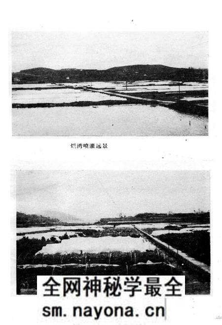 《《怀化市蔬菜志》》.pdf电子版_湖南省志预览图5