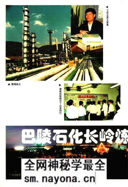 《湖南省石化工会志》.pdf电子版_湖南省志预览图5 《湖南省石化工会志》.pdf电子版_湖南省志预览图5