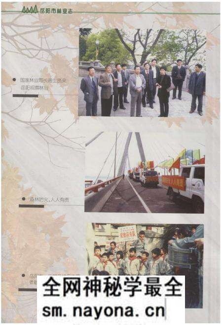 《《岳阳市林业志》》.pdf电子版_湖南省志预览图5